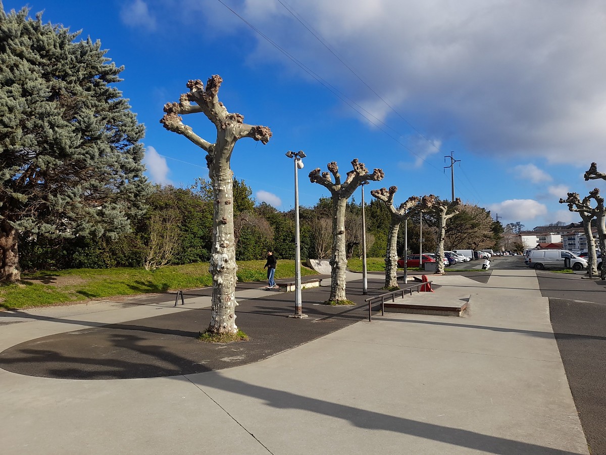 Skatepark de Marañon